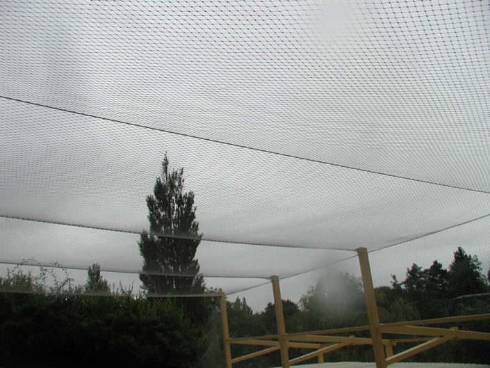 Dublin zoo2