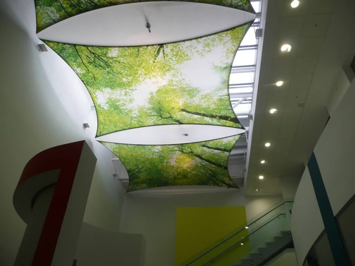 IBM – Atrium1