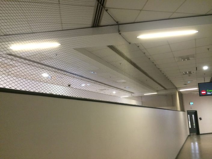 paddys iphone Nov 2015 668