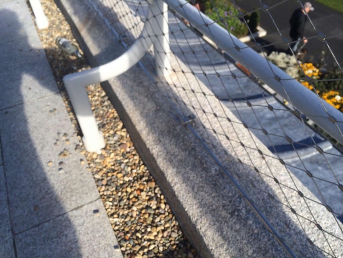 photo5